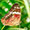 Serie Naturaleza