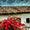 Serie Mi Tierra