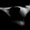 Serie Desnudos